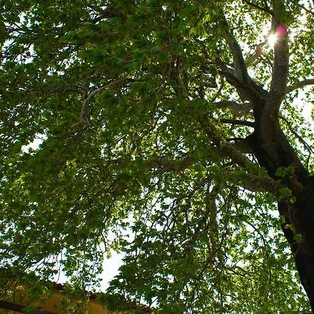 Doviros Отель 2*